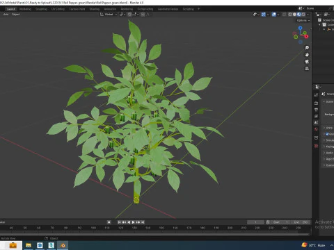 Bell Pepper-green 3D Model