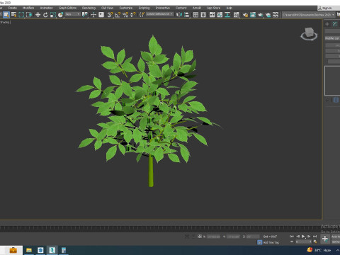 Bell Pepper-green 3D-Modell