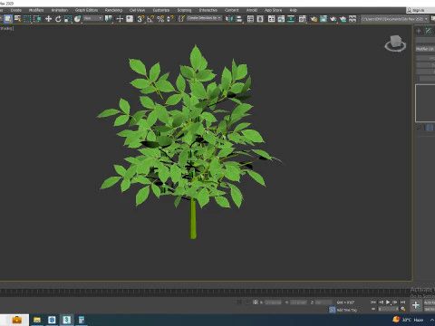 Bell Pepper-green 3D Model
