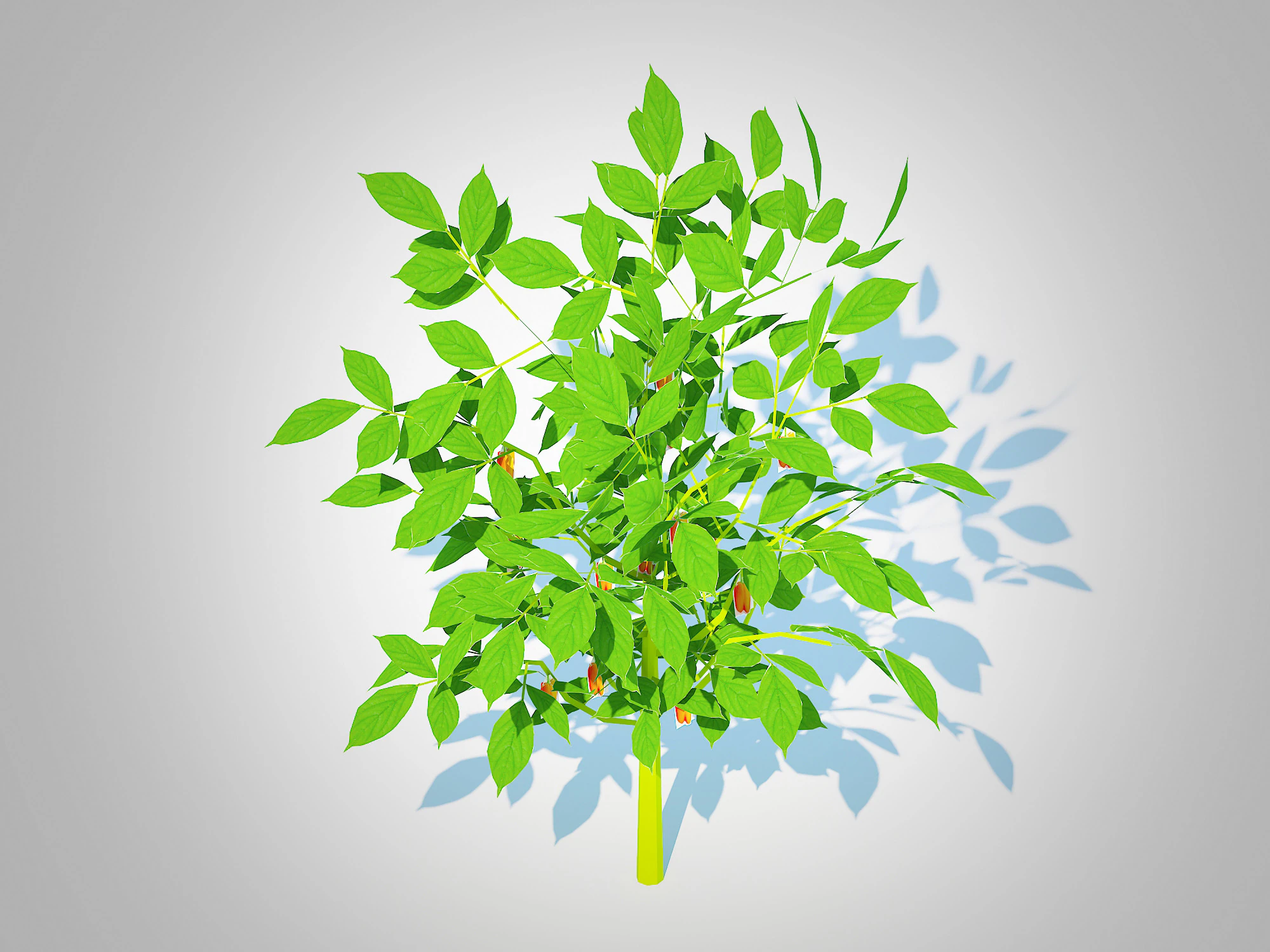 Bell Pepper-orange 3D Model .c4d .max .obj .3ds .fbx .stl .blend 