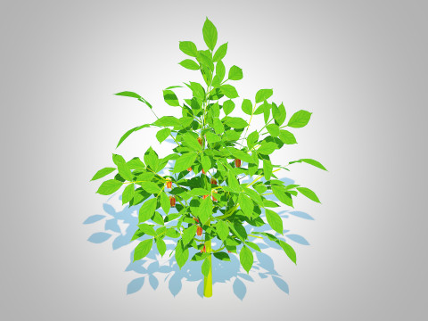 Bell Pepper-orange 3D Model