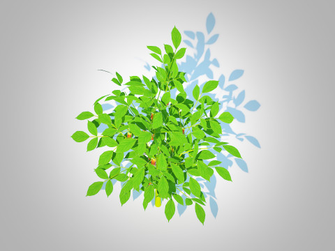 Bell Pepper-orange 3D Model