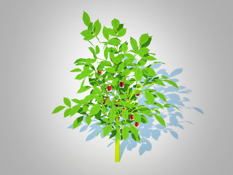 Bell Pepper-red 3D Model