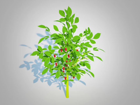 Bell Pepper-red 3D Model