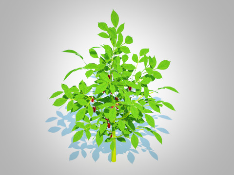 Bell Pepper-red Modelo 3D