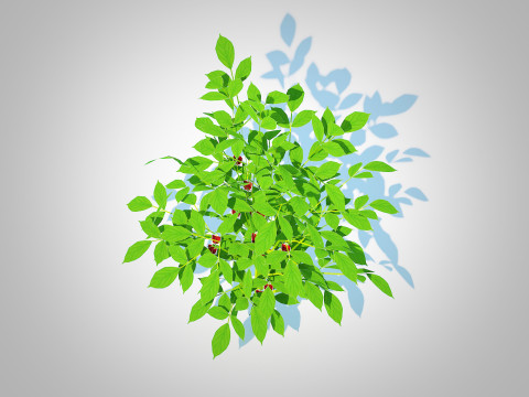 Bell Pepper-red Modelo 3D
