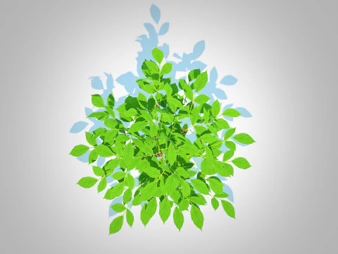 Bell Pepper-red 3D Model