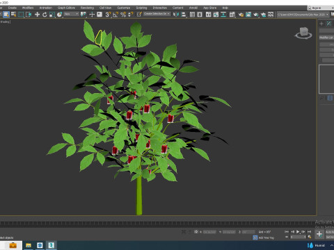 Bell Pepper-red Modelo 3D