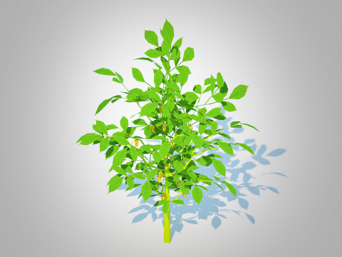 Bell Pepper-yellow 3D मॉडल