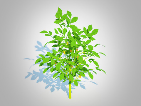 Bell Pepper-yellow 3D Model