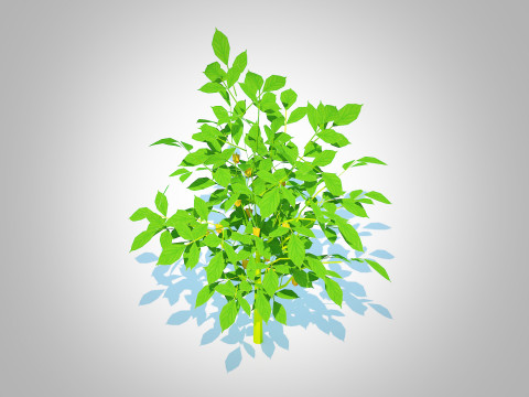 Bell Pepper-yellow 3D Model