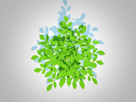 Bell Pepper-yellow 3D Model