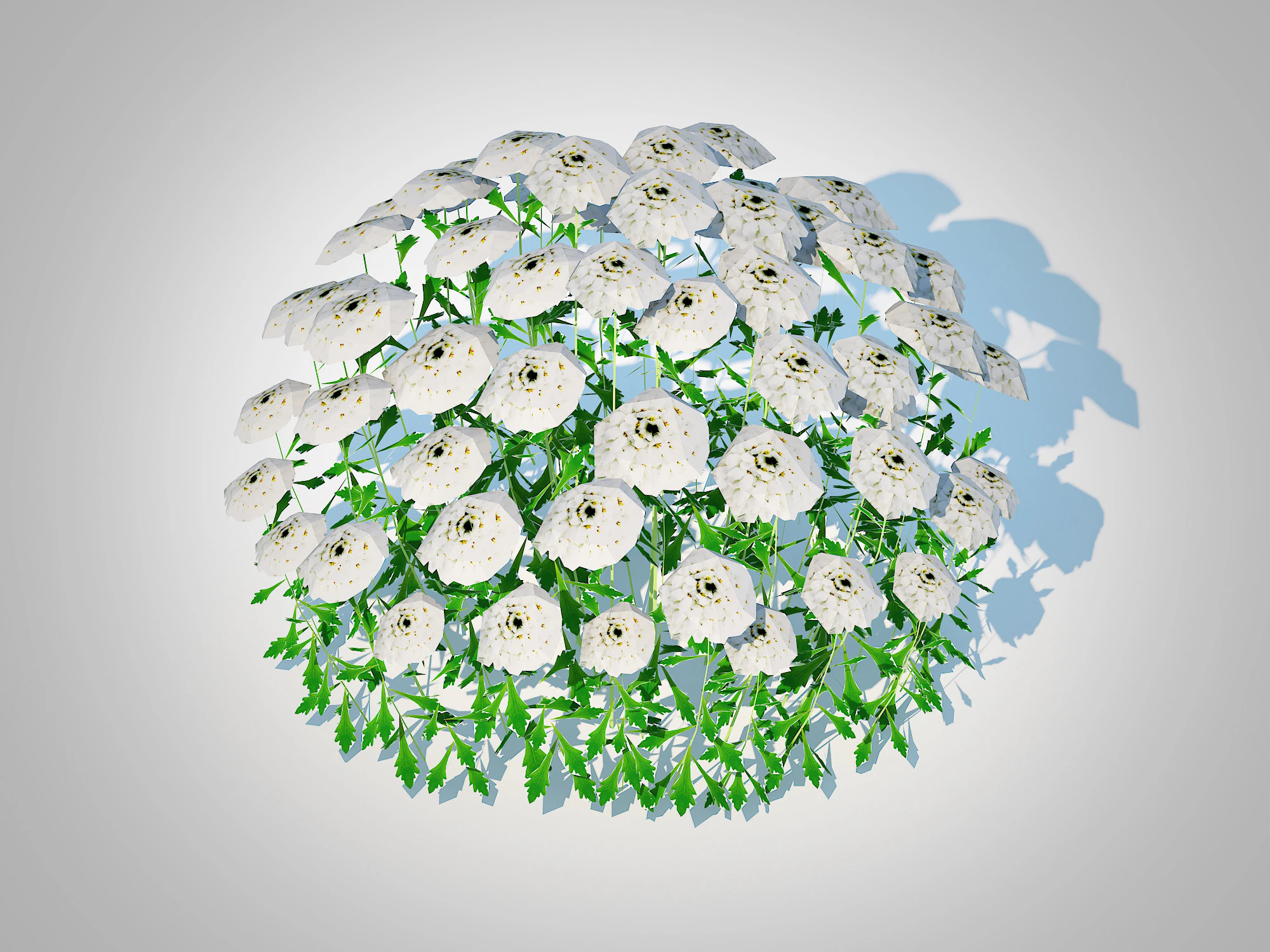 Iberis - Candytuft 3D Model .c4d .max .obj .3ds .fbx .stl .blend 