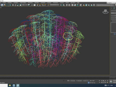 Iberis - Candytuft 3D Model