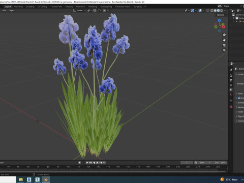 Iris germanica - Blue Bearded Iris 3D मॉडल