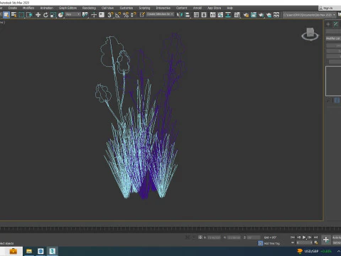 Iris germanica - Blue Bearded Iris 3D Model