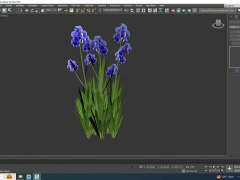 Iris germanica - Blue Bearded Iris 3D Model