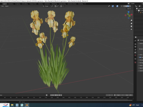 Iris germanica - Yellow Bearded Iris 3D Модель