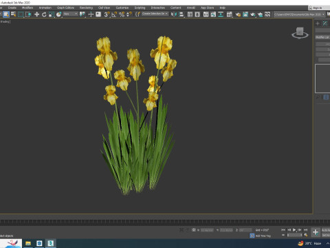 Iris germanica - Yellow Bearded Iris 3D Модель