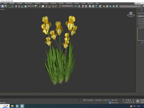 Iris germanica - Yellow Bearded Iris 3D Model