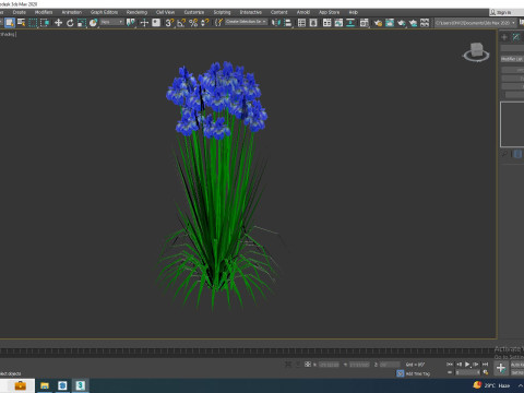 Iris siberica - Blue Siberian Iris 3Dモデル