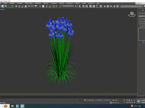 Iris siberica - Blue Siberian Iris 3D Model
