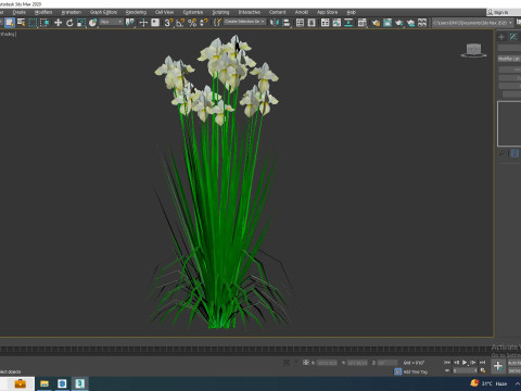 Iris siberica - White Siberian Iris 3D Model