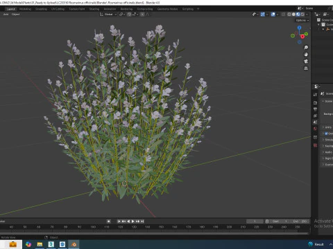 Rosmarinus officinalis 3D Model