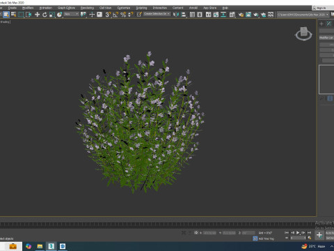 Rosmarinus officinalis Model 3D