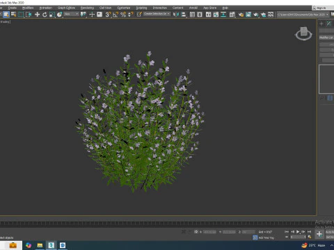 Rosmarinus officinalis 3D Model