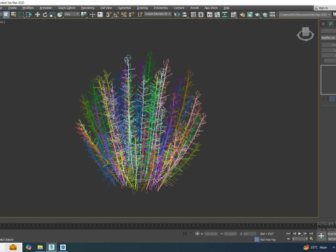 Rosmarinus officinalis Model 3D