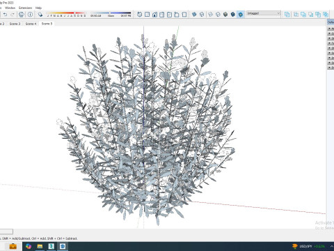 Rosmarinus officinalis Model 3D