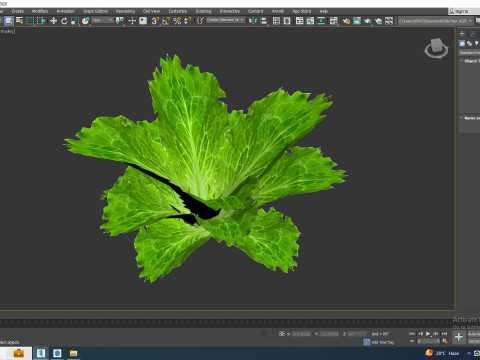 Lettuce green 3D मॉडल