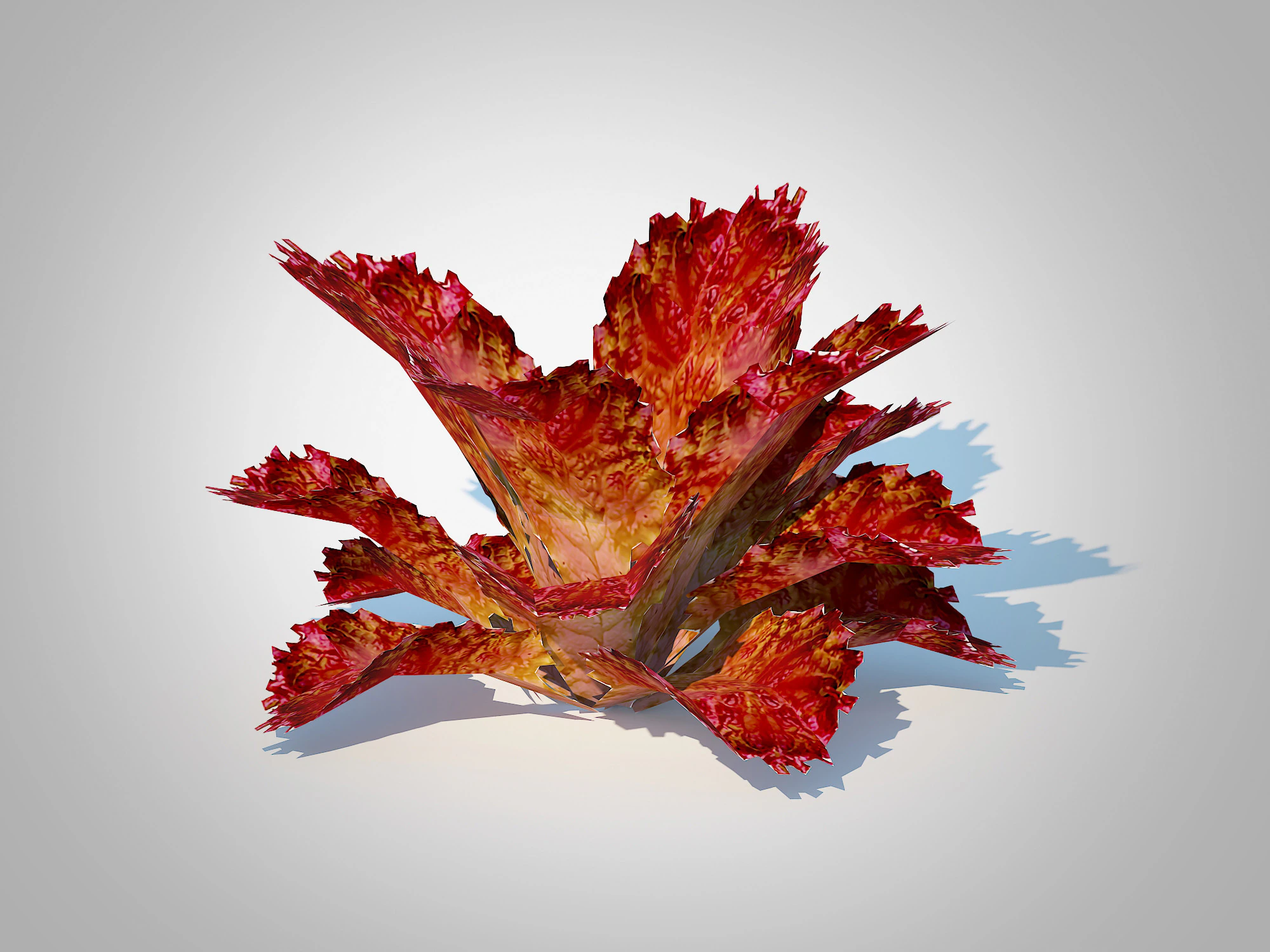 Lettucered 3D Model .c4d .max .obj .3ds .fbx .stl .blend 