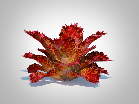 Lettucered 3D Model