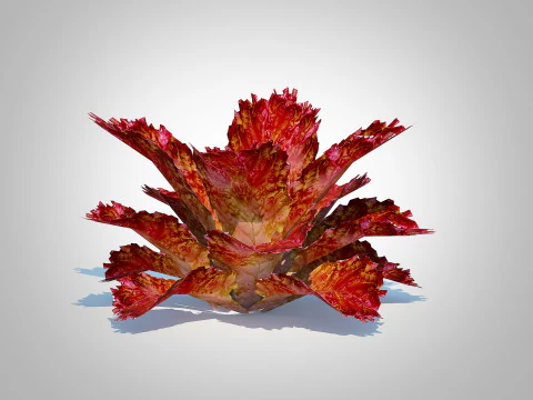 Lettucered 3D Model