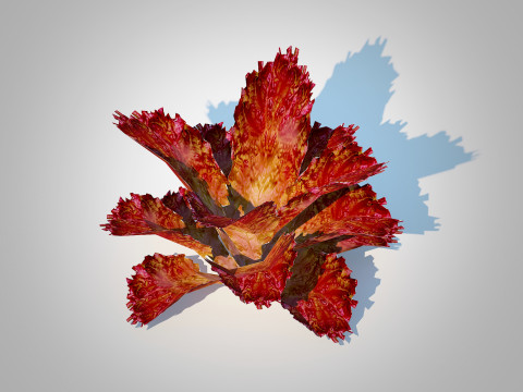 Lettucered 3D Model