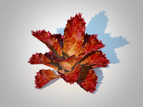 Lettucered 3D Model