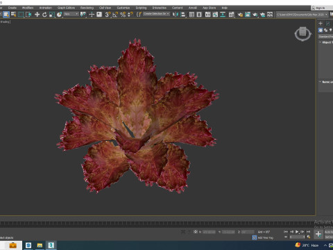 Lettucered 3D Model