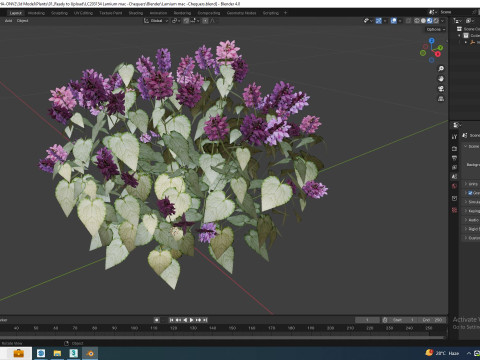 Lamium mac -Chequers 3D 模型