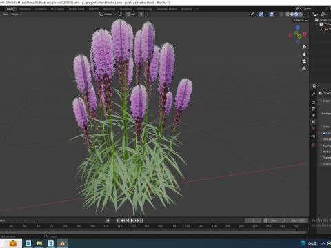 Liatris - purple gayfeather 3D Model
