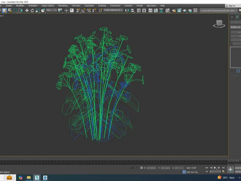 Ligularia Britt Marie Crawford - Ligularia 3D Model