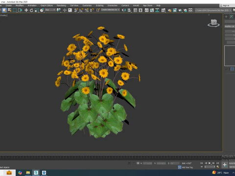 Ligularia Britt Marie Crawford - Ligularia 3D Model