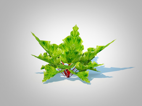 Rhubarb 3D Модель