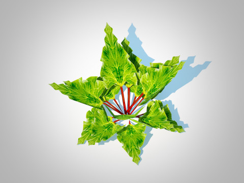 Rhubarb Modello 3D