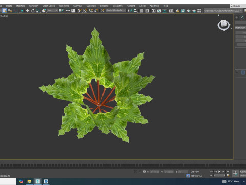 Rhubarb Modello 3D