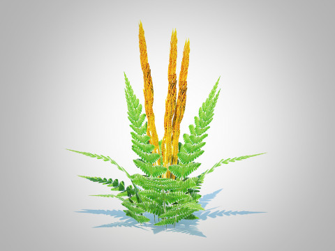 Osmunda - Cinnamon Fern 3Dモデル