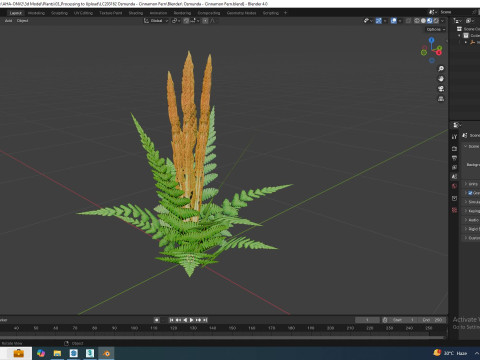 Osmunda - Cinnamon Fern 3Dモデル