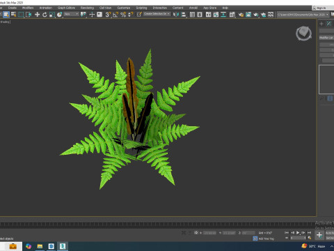 Osmunda - Cinnamon Fern 3Dモデル