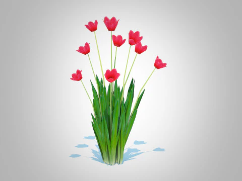 Tulipa - tulips Red 3D Model